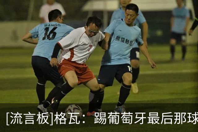 [流言板]格瓦：踢葡萄牙最后那球很荒谬；补水暂停时间有点太长了